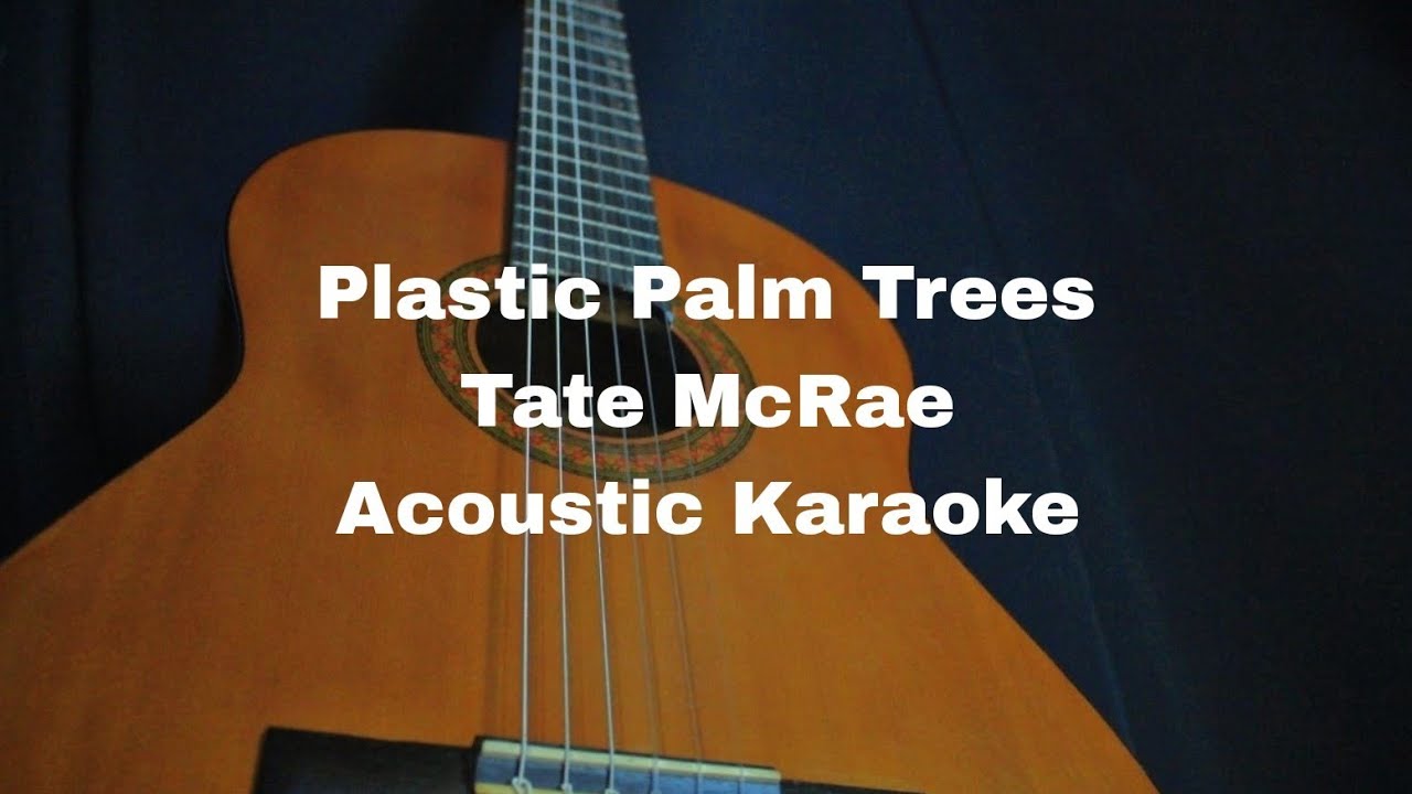 Tate McRae - Plastic Palm Trees (Acoustic Karaoke)