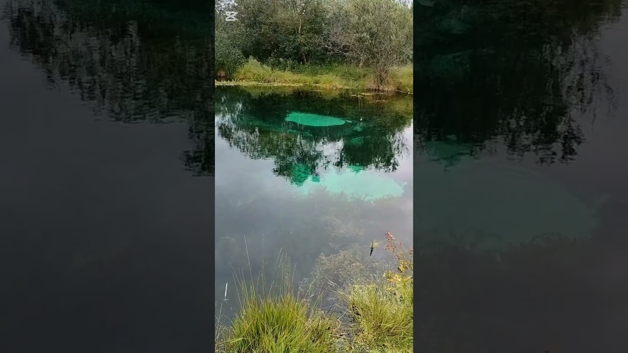 Store Bl&aring;kilde ved Rold Skov