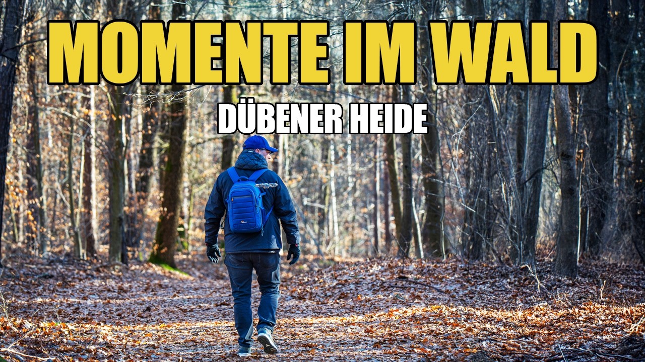 Einfach raus – mit unseren Kameras im Winterwald der Dübener Heide