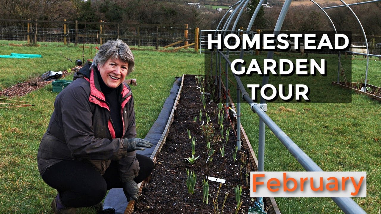Homestead Garden Tour | New Food Forest in February (2022)