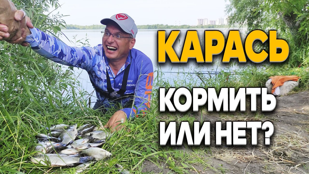 Дядя Фёдор ловит карасей на удочку. Прикармливать карася на рыбалке или нет - вот в чём вопрос!