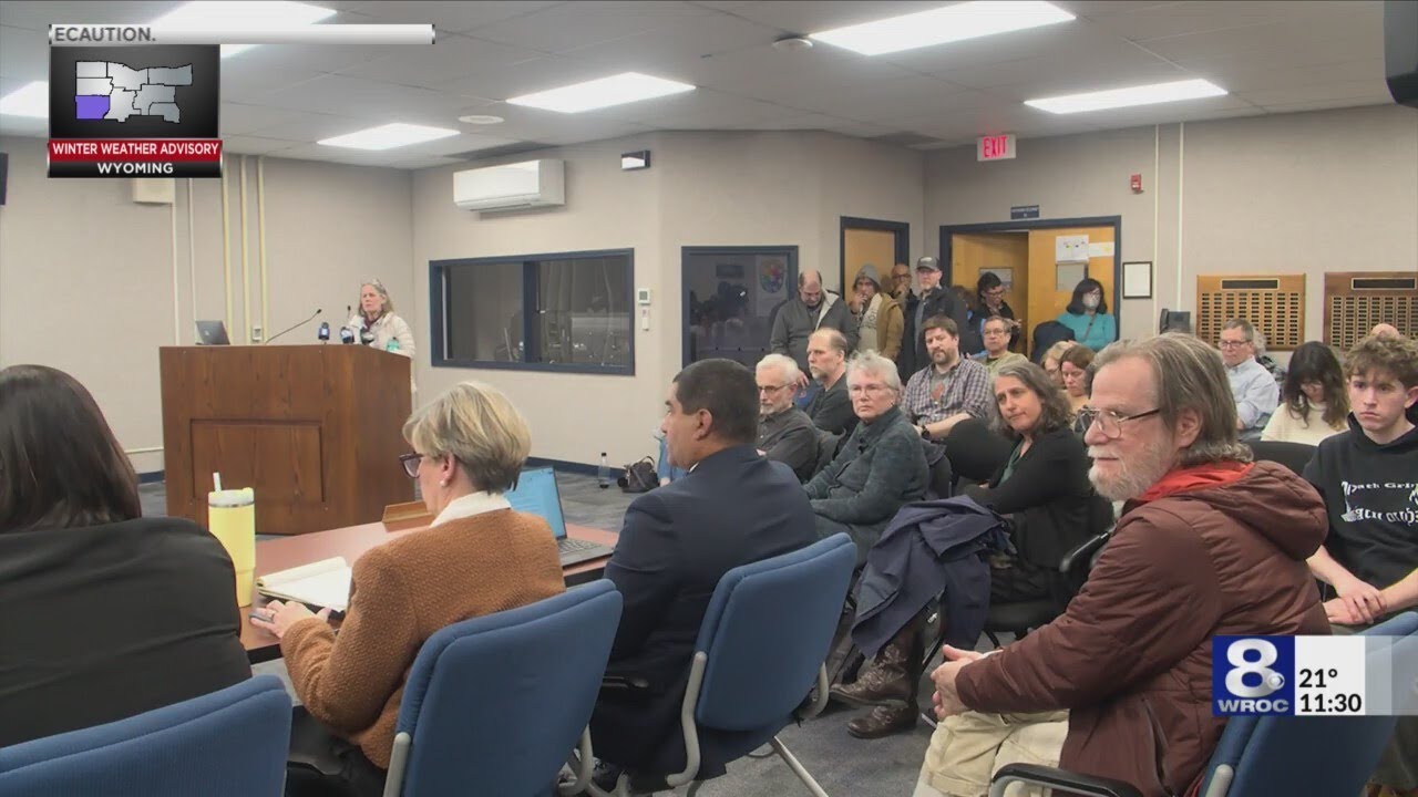 Brighton locals worry about proposed artificial turf plan