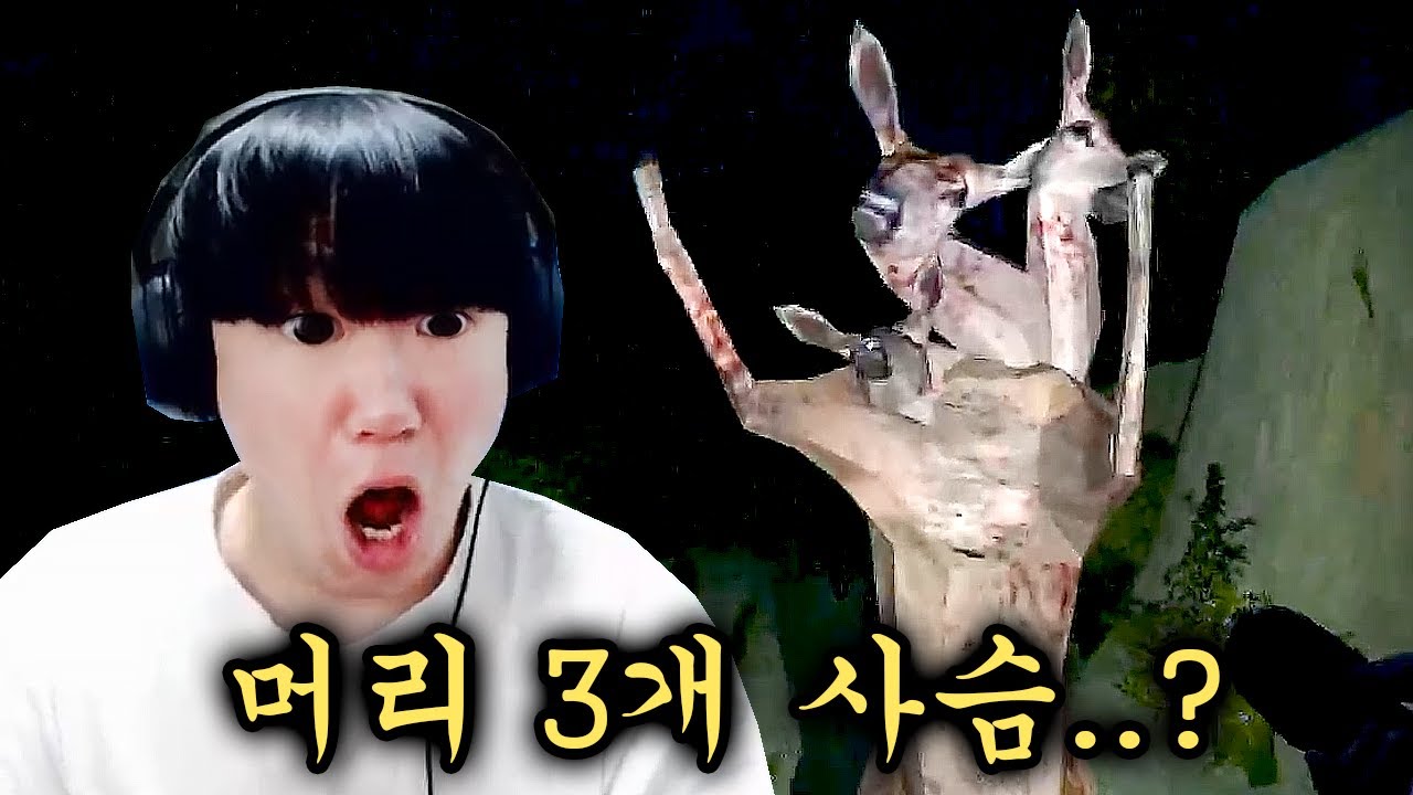 내가 아는 사슴 중 제일 못생김 ㅋㅋㅋㅋ
