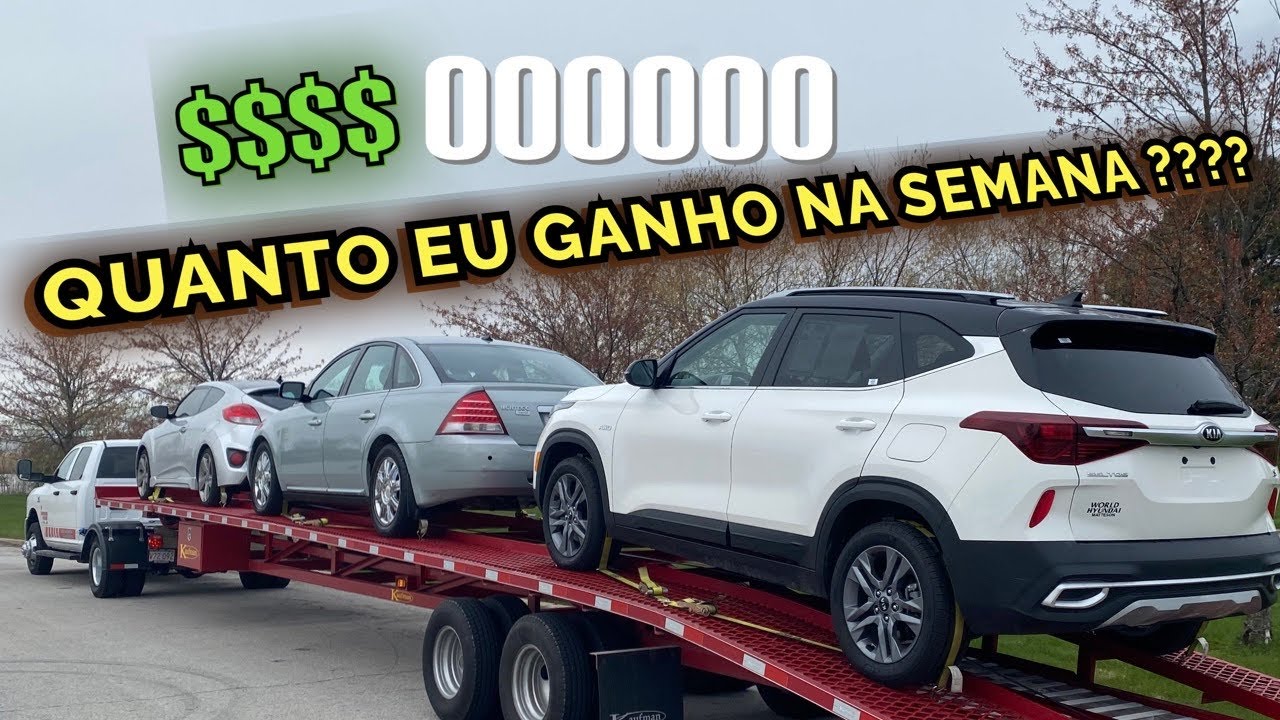 Сколько денег можно заработать за неделю с Mini Cegonha?