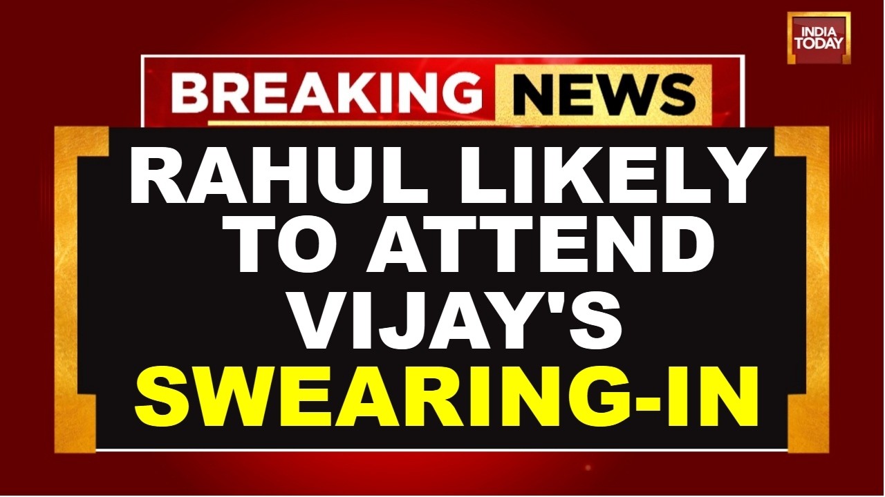 TVK Vijay News LIVE: TVK, Congress To 'Form An Alliance' | TVK Vijay | Tamil Nadu Election Results