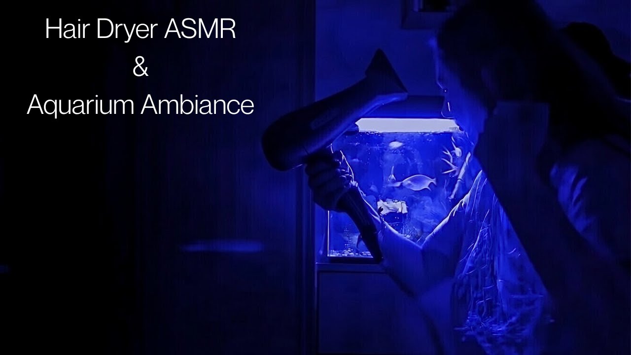 Hair Dryer ASMR & Fish Swimming [Unique Relaxing Experience]