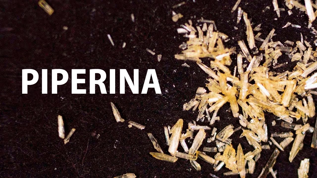 Extrayendo el químico picante de la pimienta negra