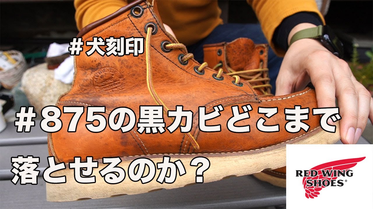 【REDWING】レッドウイング犬刻印＃875の黒カビがどこまで落ちるか試してみた