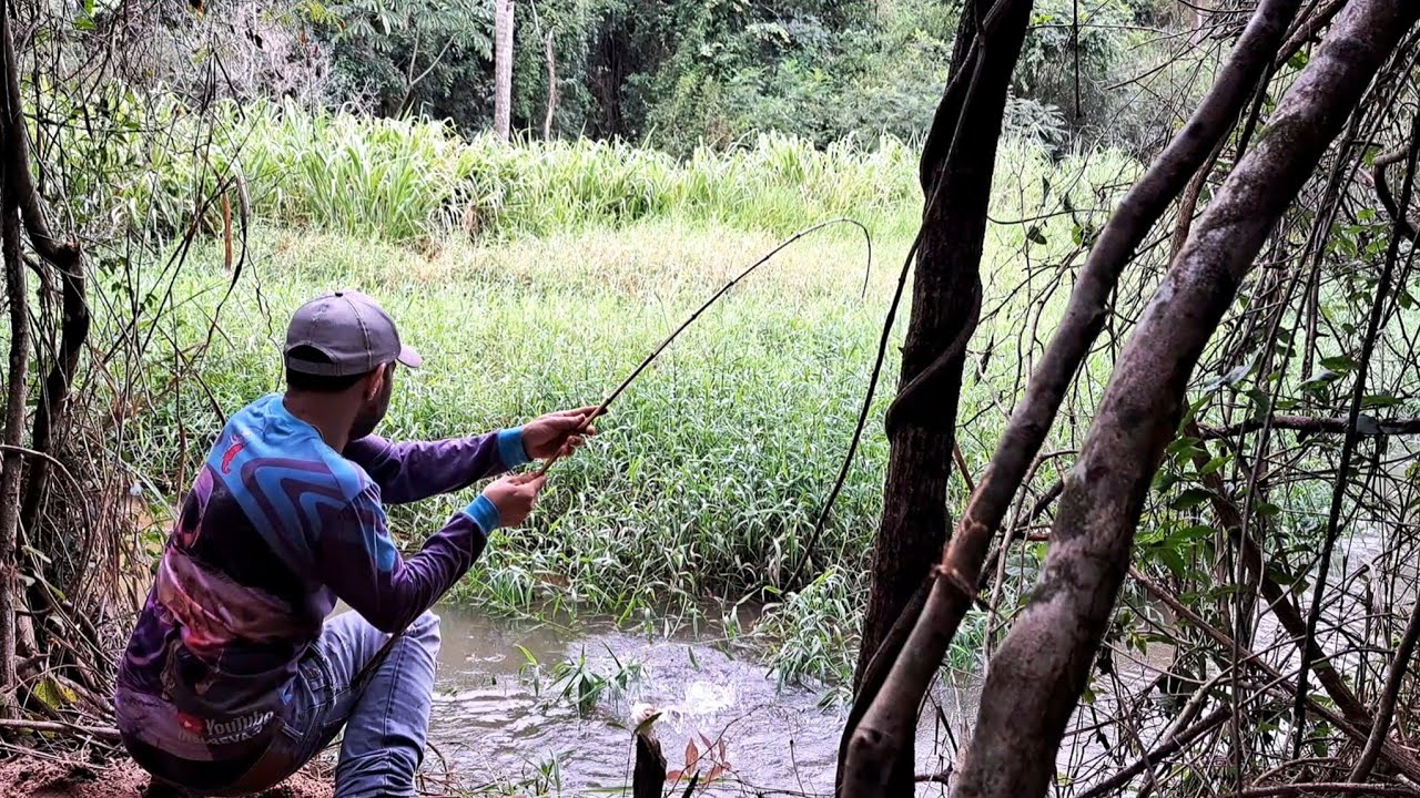 DOURADO, PIAPARA, PIAU 3 PINTAS, PIRACANJUBA E OUTROS PEIXES A CEVA DE BARRANCO TAVA BOMBANDO/PESCA.