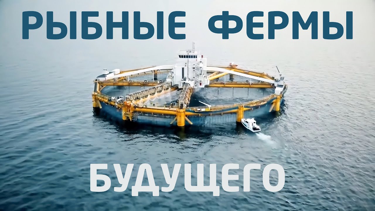 Как разводят рыбу? Внутри крупнейшей в мире рыбной фермы, в Норвегии - Фьюча