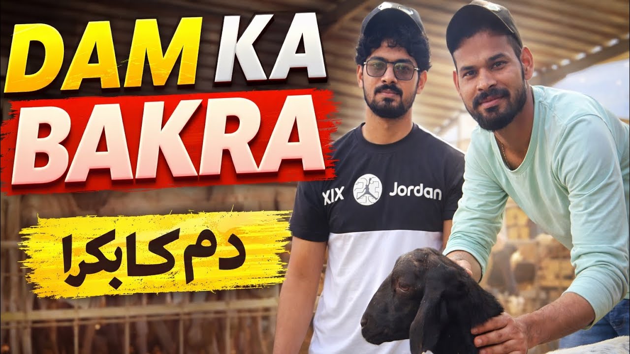 Makkah me Dam ka Bakra 🐐 | Umrah ki Galti ka Kaffara. 🇸🇦