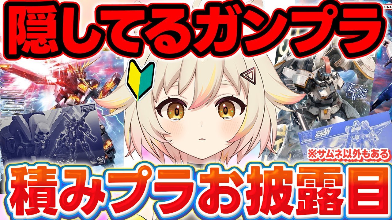 【ガンプラ】この1年で購入したガンプラを数える恐怖の回【手元カメラ / #猫電めうる】#ガンダム #雑談  #vtuber