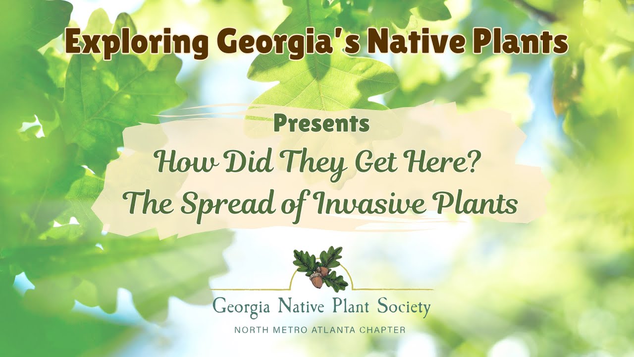 Exploring Georgia's Native Plants - Invasives How Did They Get Here?