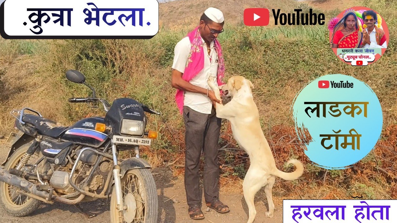 आपल्या टॉमी कुत्र्याला आणायला गेलो तळावर.. टॉमी भेटला खूप आनंद झाला