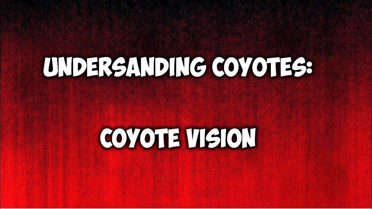 Understanding Coyotes:  Coyote Vision