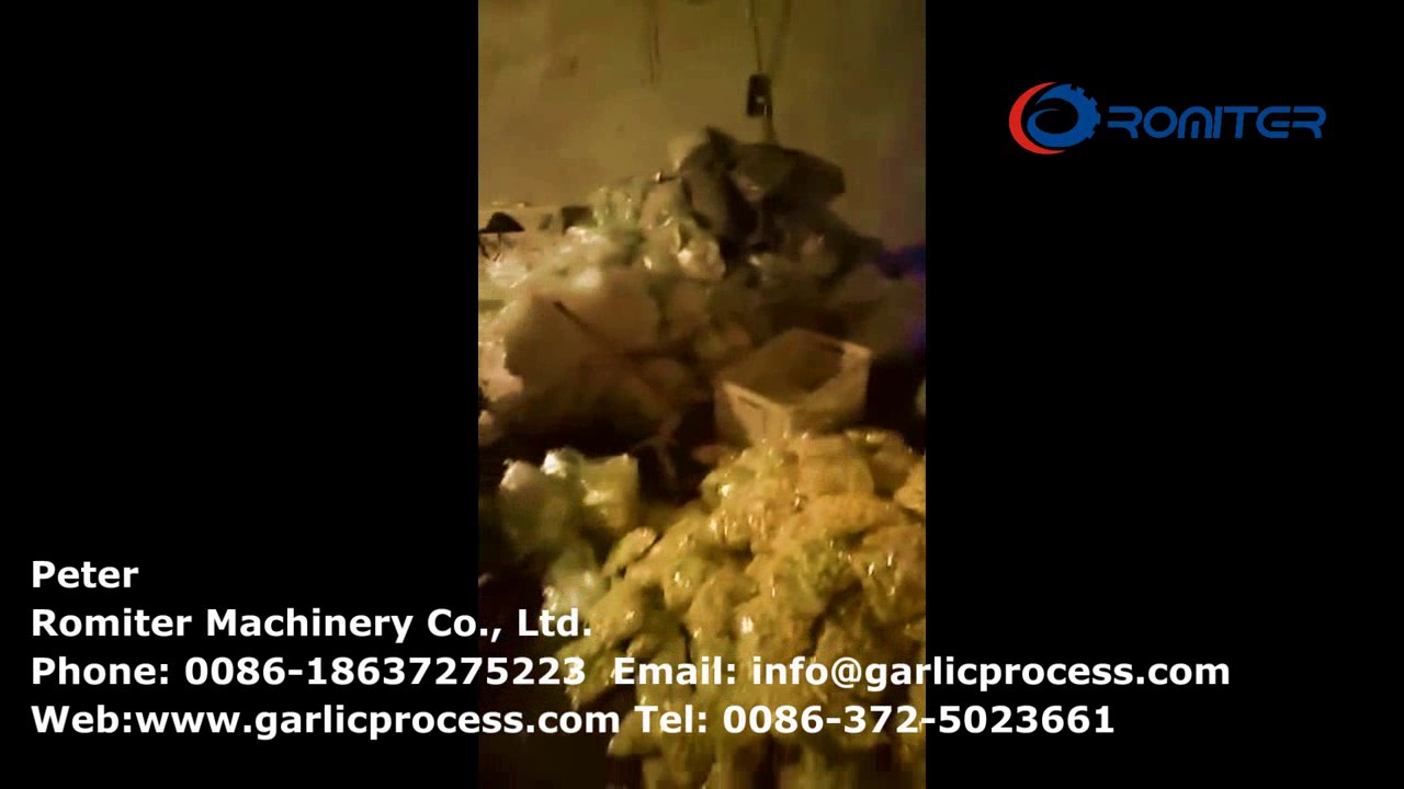 Full Automatic Peeled Garlic Clove Packing Line for Sale-Romiter Machinery