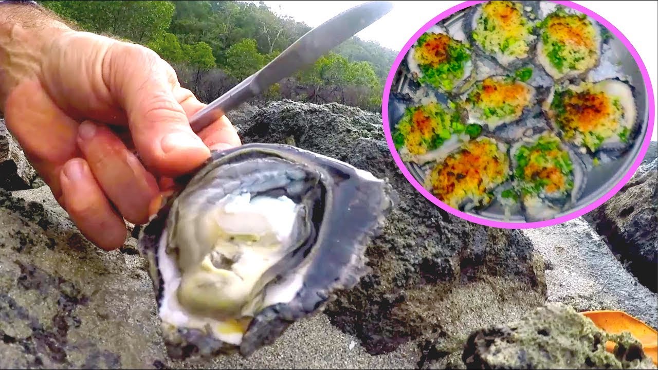 Oysters Rockefeller Fresh Wild Catch and Cook EP.481