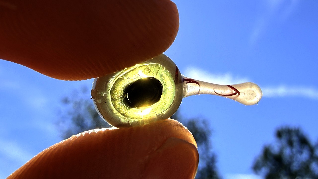How to Make Realistic Perch Eyes For Ice Fishing