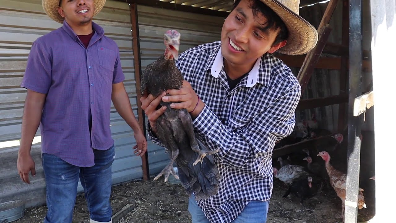 UN DÍA EN SAN MIGUEL GUELACHE, ETLA, OAXACA.//ALIMENTANDO ANIMALES, FT// DEL RANCHO A LA CIUDAD.