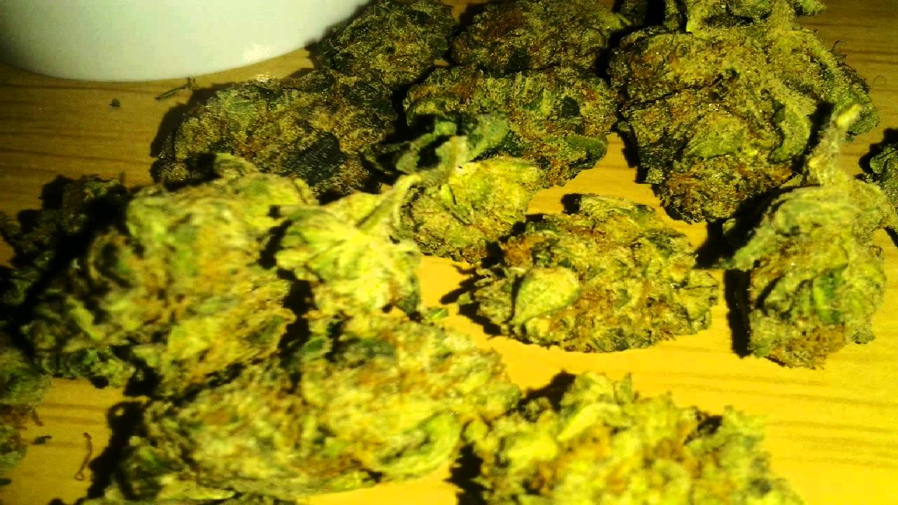 Red dragon og pics