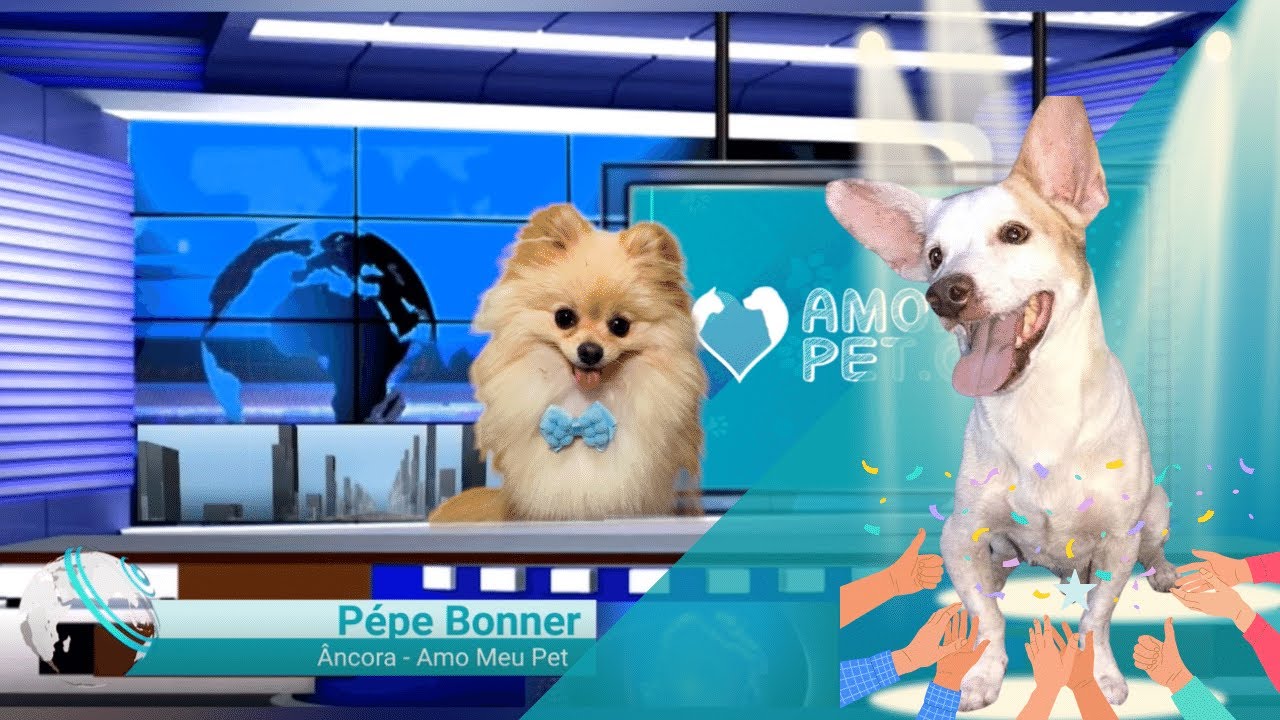 Cachorrinho 'cãotor' e mais no Jornalzinho Amo Meu Pet | Com Pépe Bonner