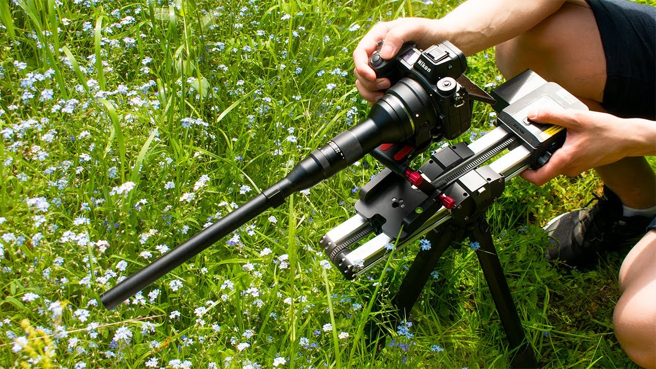 A MACRO View In Nature! (Laowa Probe Lens | Nikon Z)