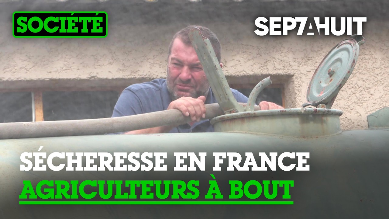 Les agriculteurs à sec face à la sécheresse | Sept à Huit