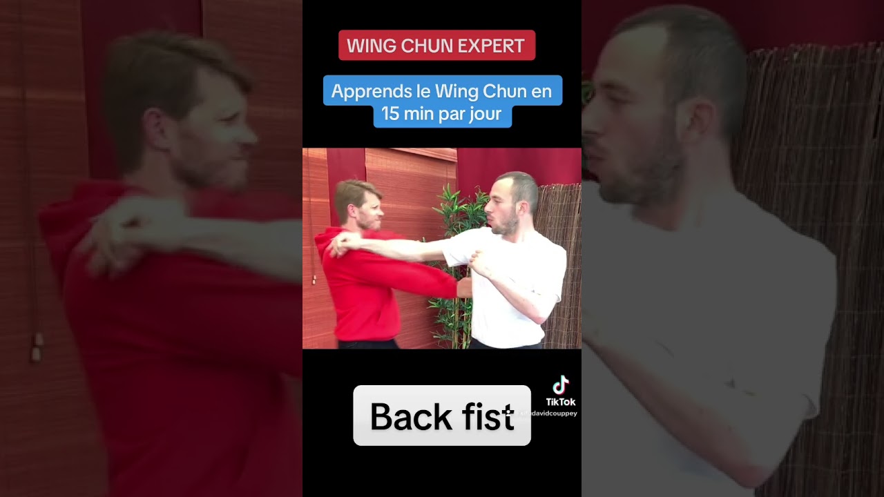 Wing Chun Training : FUK SAO kung fu fighting technique for beginners How to basic !