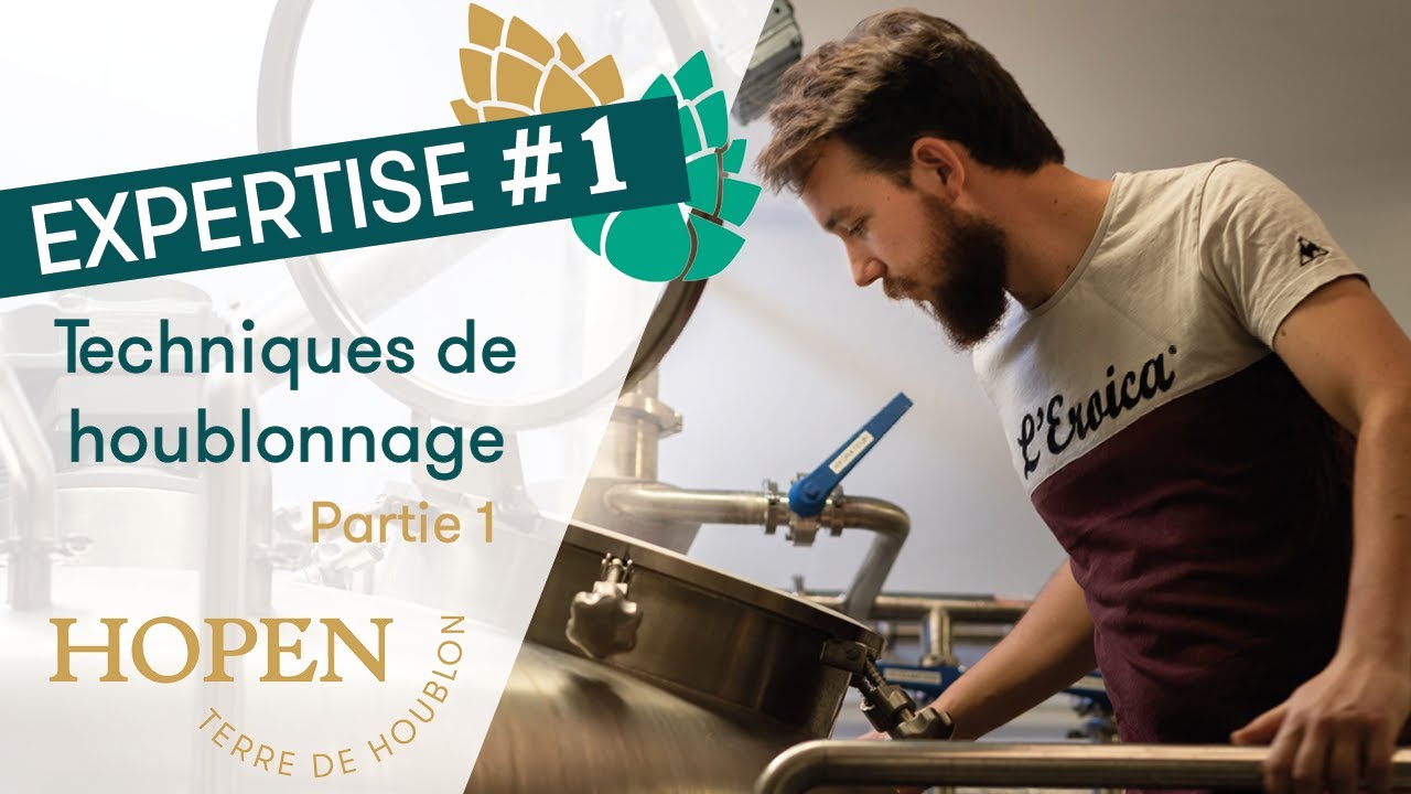 [EXPERTISE #1] Houblonnage à chaud et Dry Hopping