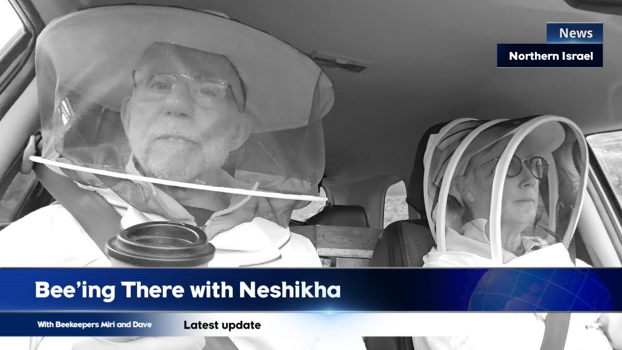 Bee'ing The Change: Neshikha Beekeepers' Fresh Start In Northern Israel