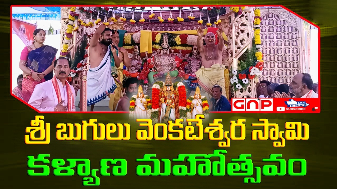 Sri Bugulu Venkateswara Swamy Sridevi, Bhudevilatho Kalyanam | Chilpur Gutta | Gnp