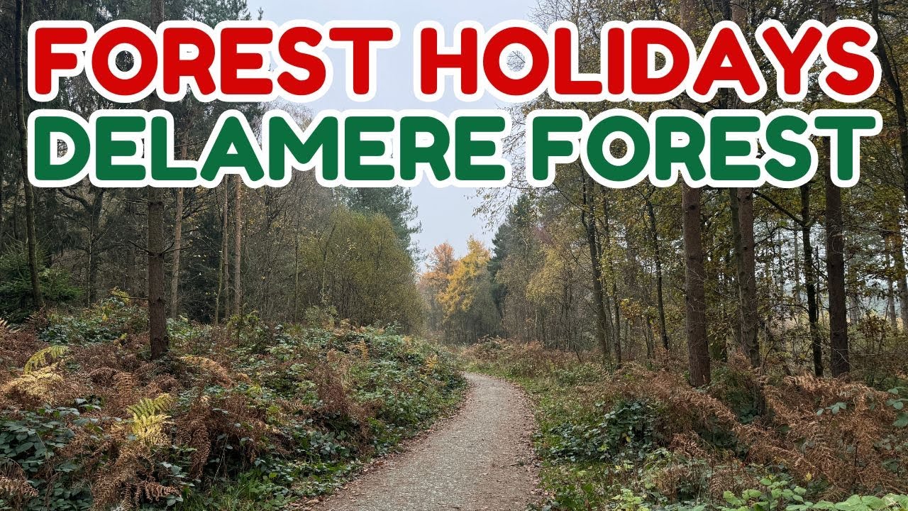 Experience the BEST Forest Holidays in Delamere Forest!