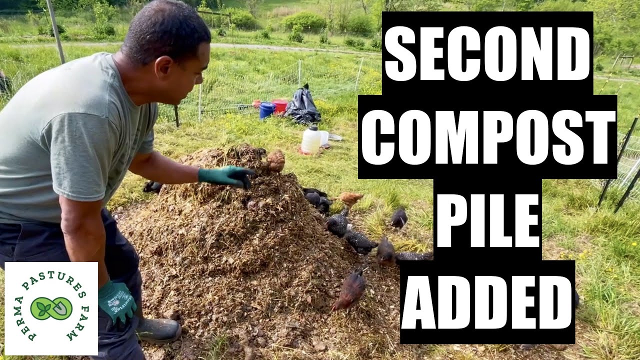 Chicken Tractor On Steroids 3.0 // Pt  4