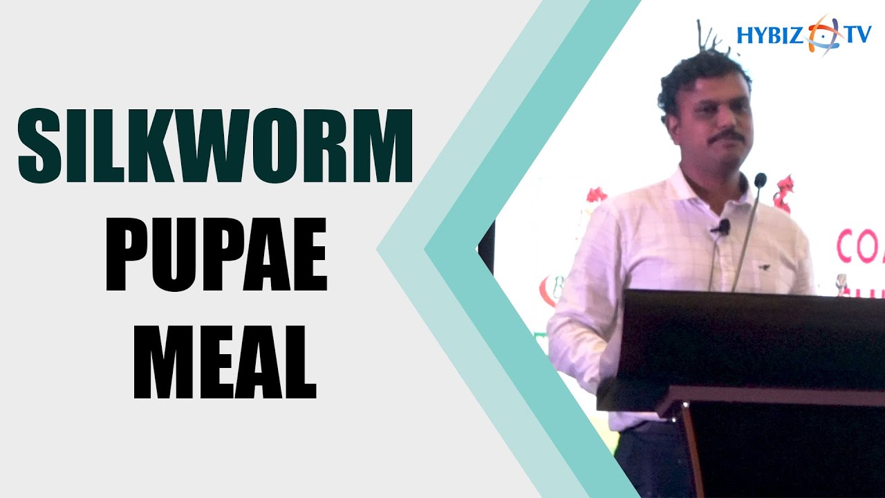 Silkworm Pupae Meal || Srinivas BV, MD, Aspartika Biotech Pvt. Ltd || IVPI Bengaluru 2022 | Hybiz tv