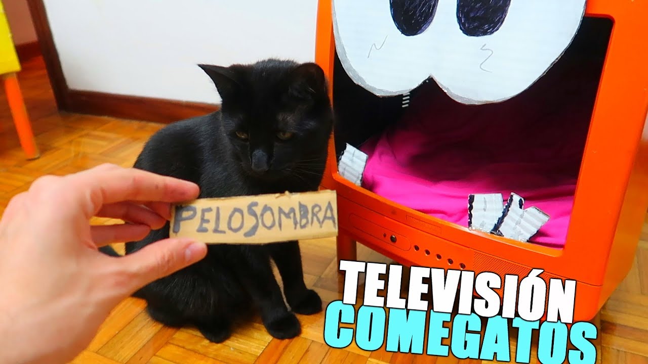 LA TELEVISIÓN COMEGATOS