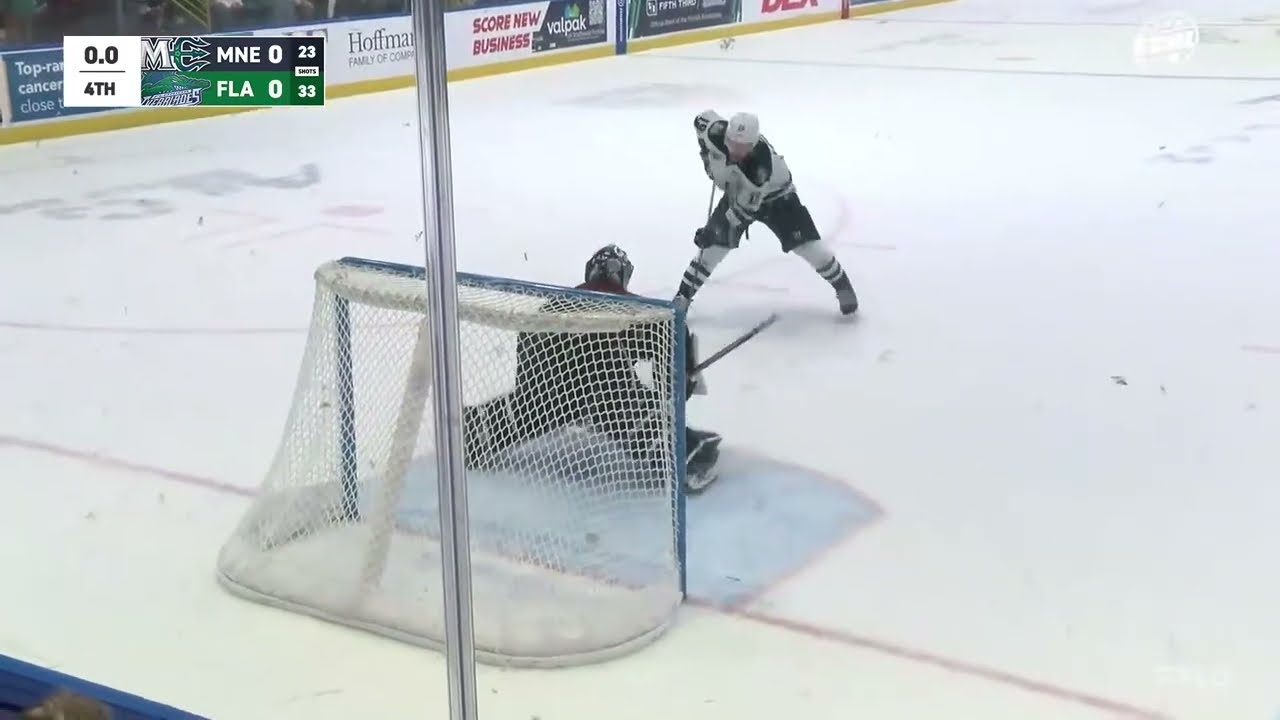 Maine Mariners @ Florida Everblades highlights - 2/14/26