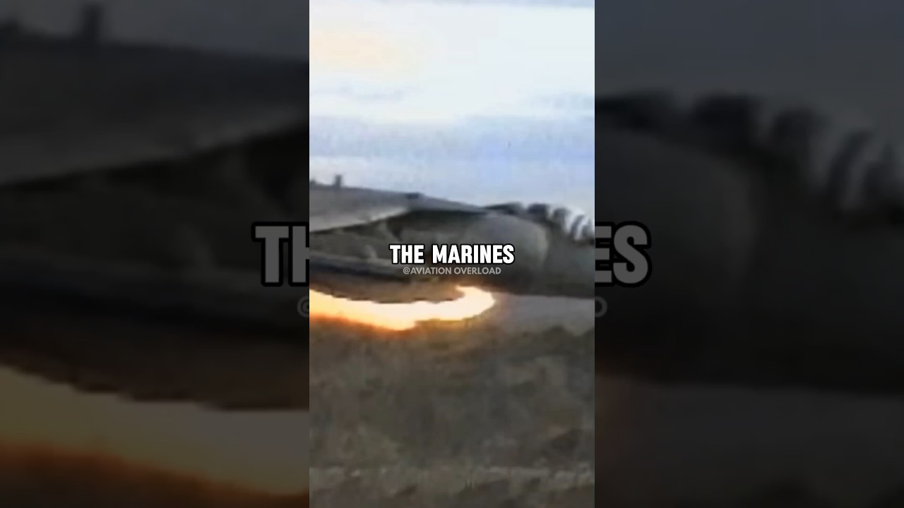 How Are Marine Pilots Built Different?