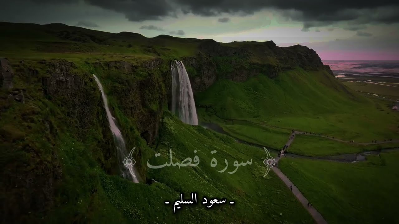 سورة فصلت كاملة - القارئ سعود السليم 