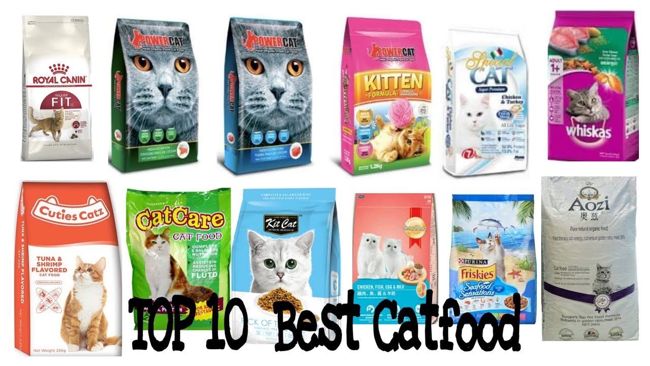 TOP 10 BEST CATFOOD IN PH 2020
