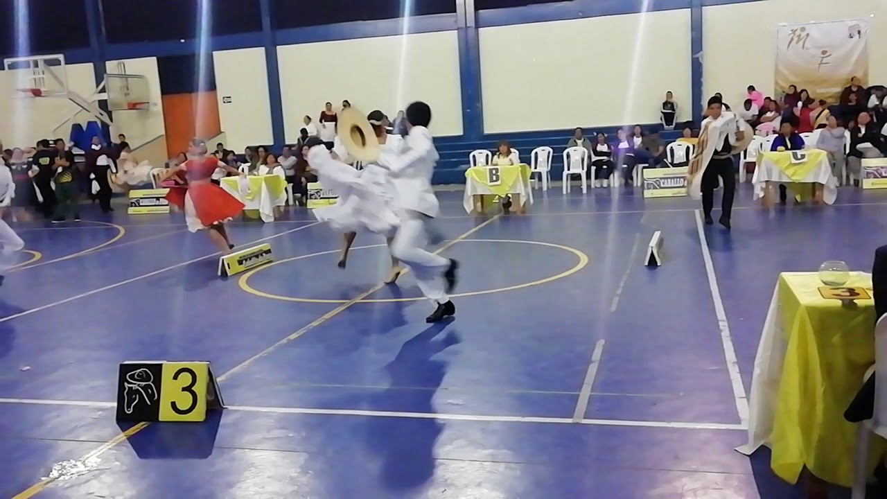 Final Juvenil Caballo de paso 2019 - David Lopez y María José Rojas
