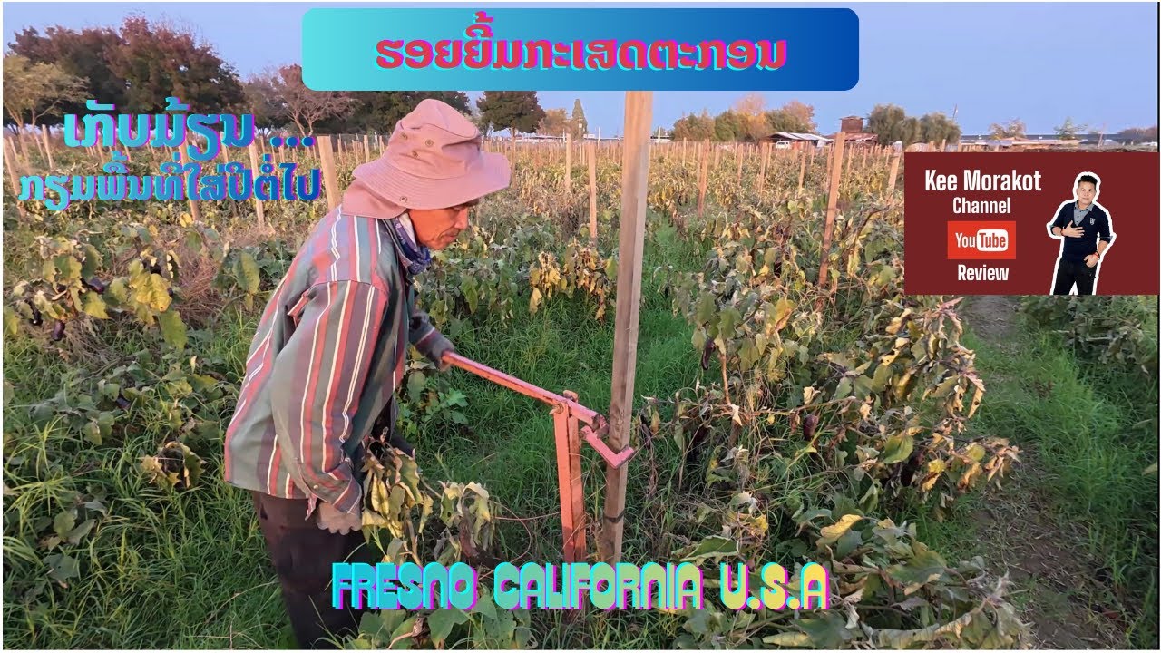 ກະເສດຕະກອນລາວ L A ໃນຕ່າງແດນ