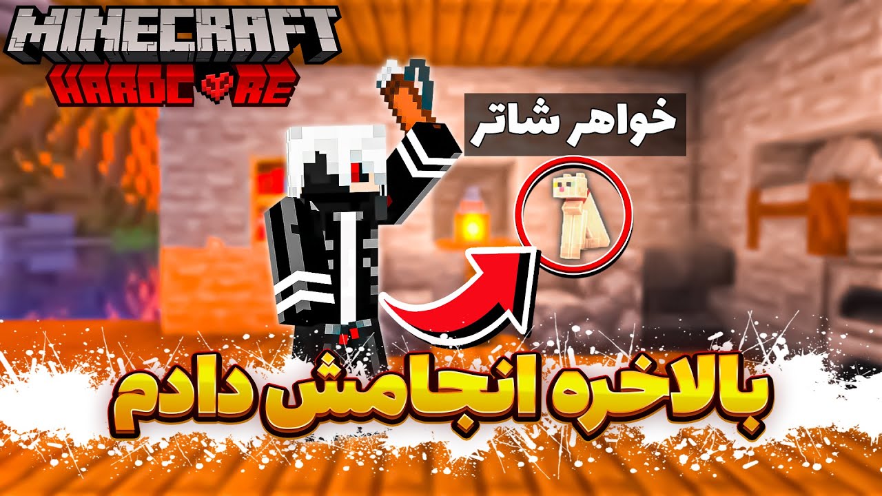 اسم گربه حسن رو گذاشتم خواهر شاتر 😂 || HARDOL 3