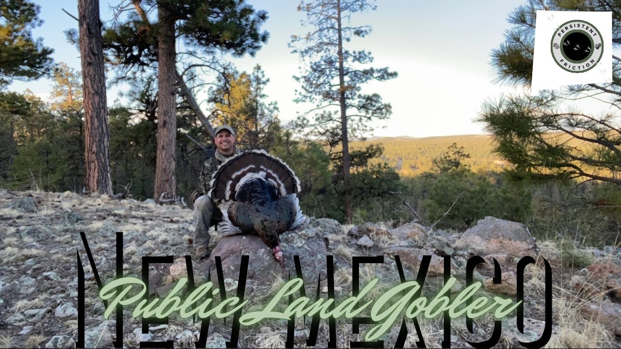 New Mexico Tag Out| Hard Gobbling Public Land Merriam Mountain Gobbler