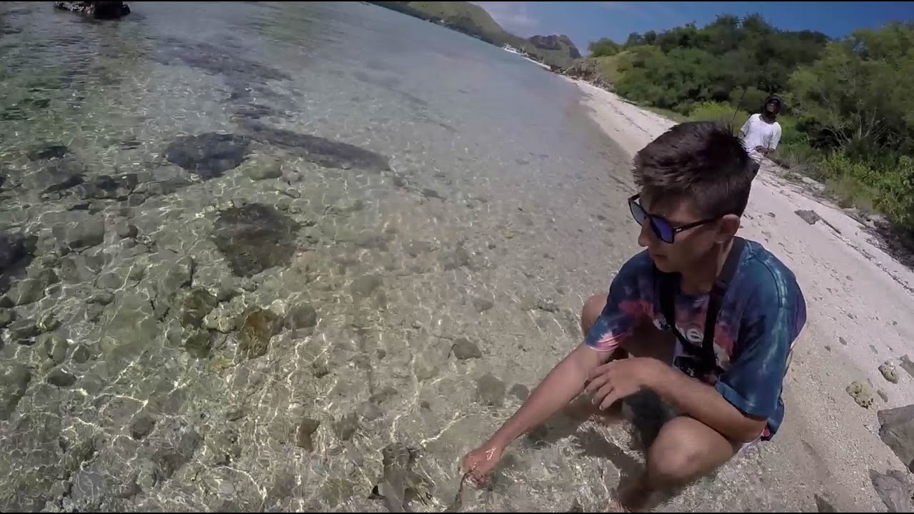 Komodo Island Clear Water Shore Fishing