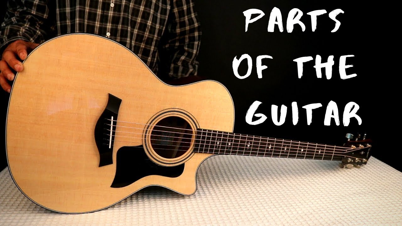 parts of the guitar and their functions