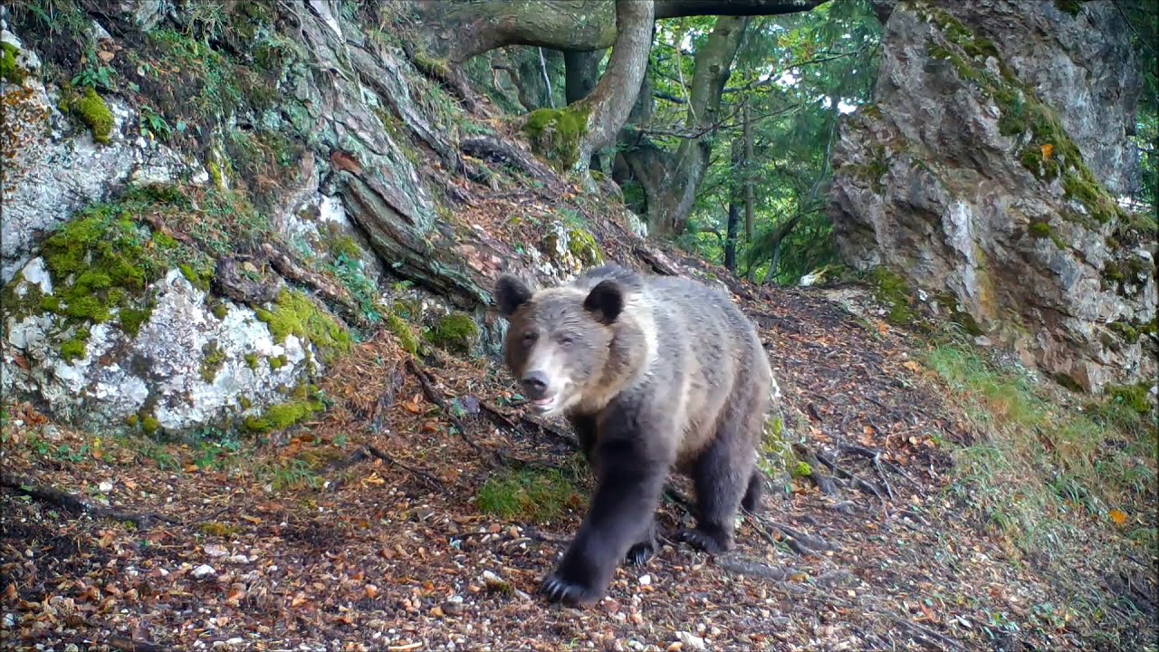 Jeseň medzi skalami 2020 (Fotopasca Veľká Fatra)