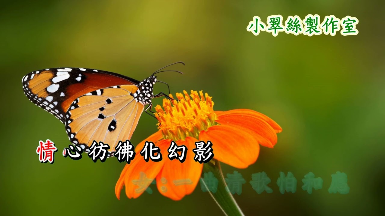 三笑姻緣之【雙飛蝴蝶】鄭少秋 關菊英