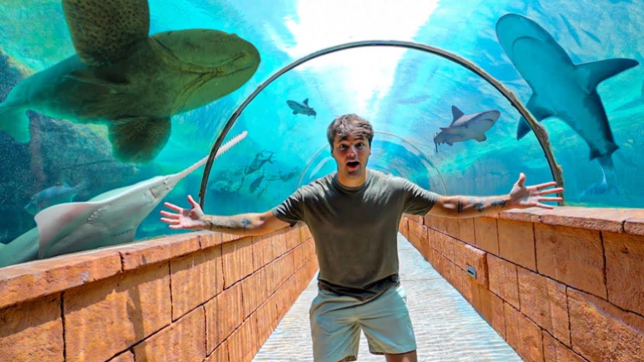 Inside The World's LARGEST Saltwater AQUARIUM!!