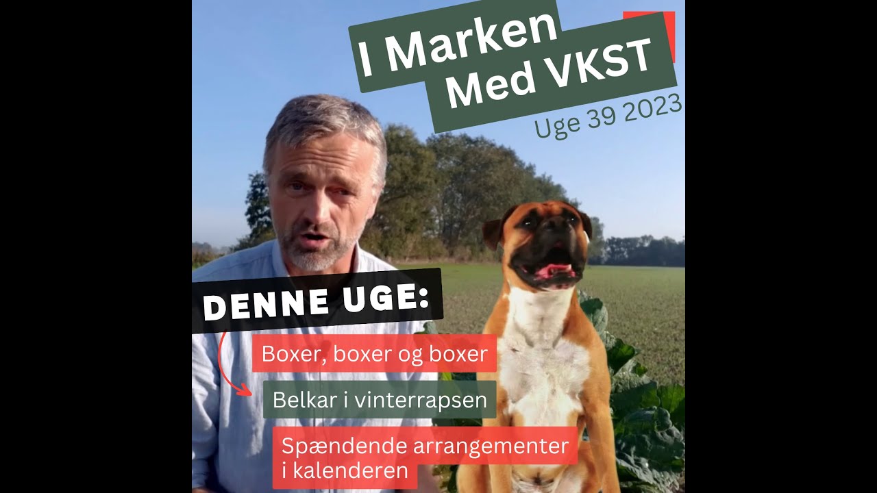 I Marken med VKST | Uge 39 2023
