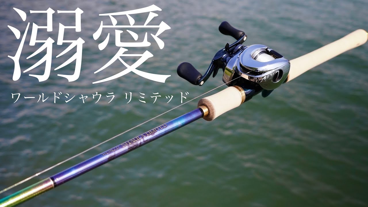ワーシャ1703を愛し過ぎた男のワールドシャウラリミテッド1703-2R インプレ